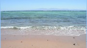 Seashore Homes Realty