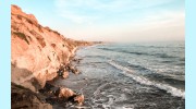 Coastal Agent