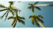 Bear Flag Realty