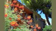 Villa Del Sol Apartments