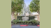 Mango Tree Apartments