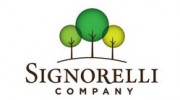 Signorelli