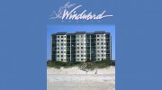 Windward Dunes