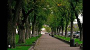 Willow Ridge Apartments