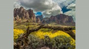 Lost Dutchman Realty