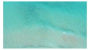 Blue Wave Realty