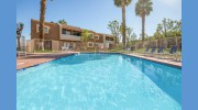 Palm Springs View Apts