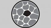 Blackstone Realty Group