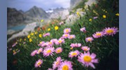 LintonProperties Jackson Hole