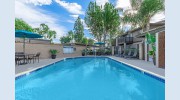 Pinecrest Apartment Homes