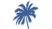 Palm Coast Flagler Beach Realty