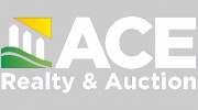 Auction Consulting Experts