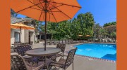 Spring Lakes Apartment Homes