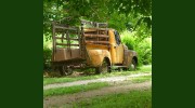 Norman Lee Real Estate Broker & Auctioneer