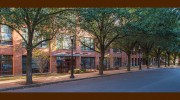 Sutton Real Estate