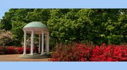 Chapel Hill Realty Group