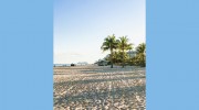 Cook Group Daytona Luxury Real Estate