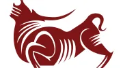 Toro Property