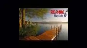RE/MAX Bayside